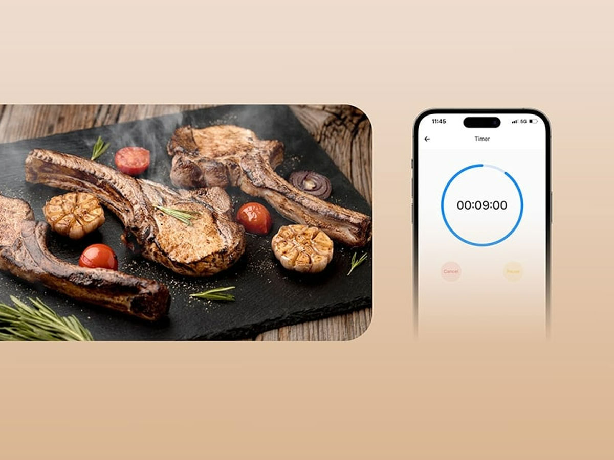 Sonoff Smart Thermometer für Fleisch BBQ BMT01