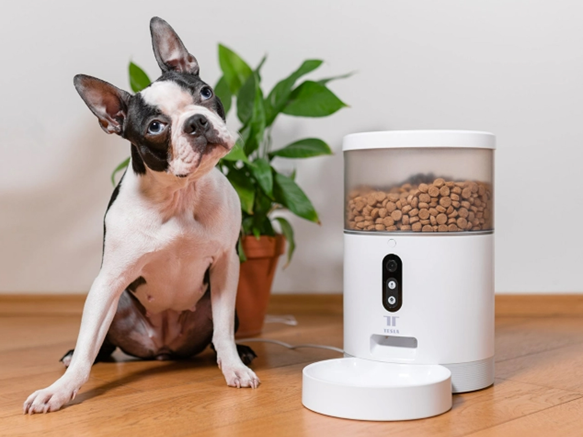 Tesla Trockenfutterspender mit Kamera