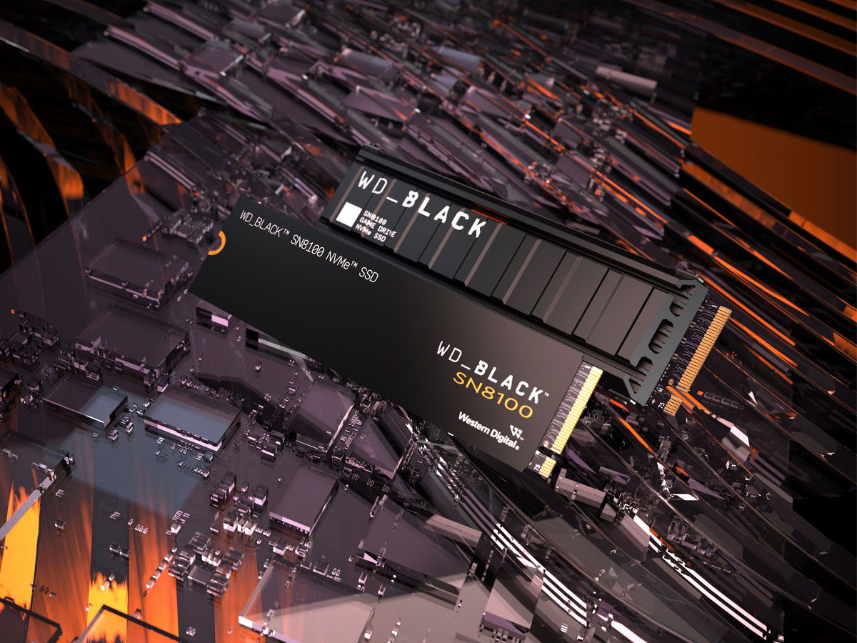 WD Black SN8100 2 TB M.2 PCIe Gen5 NVMe