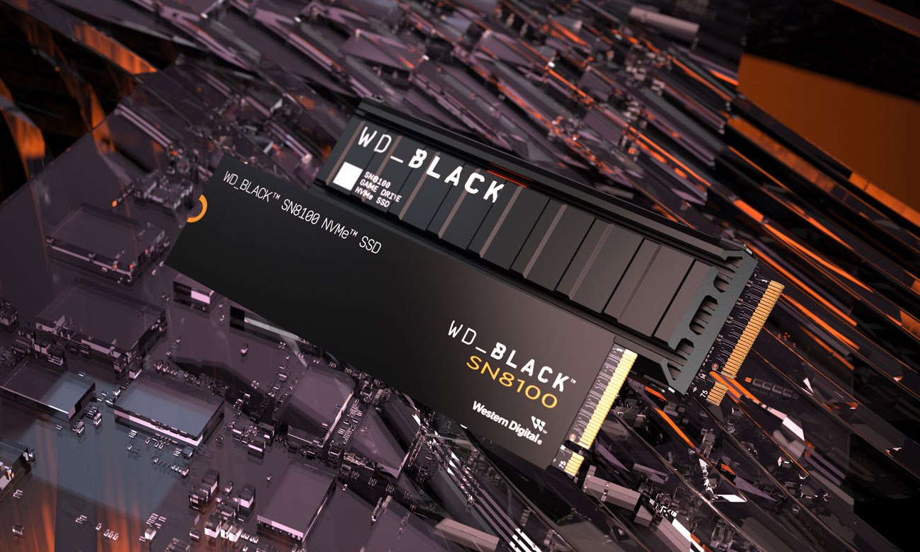 WD Black SN8100 2 TB M.2 PCIe Gen5 NVMe