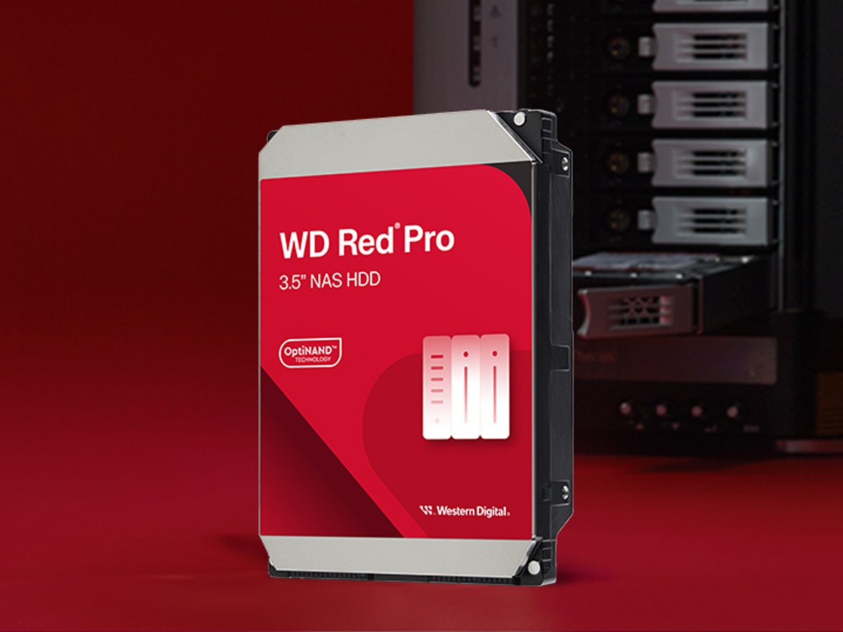 WD RED PRO 24 TB HDD