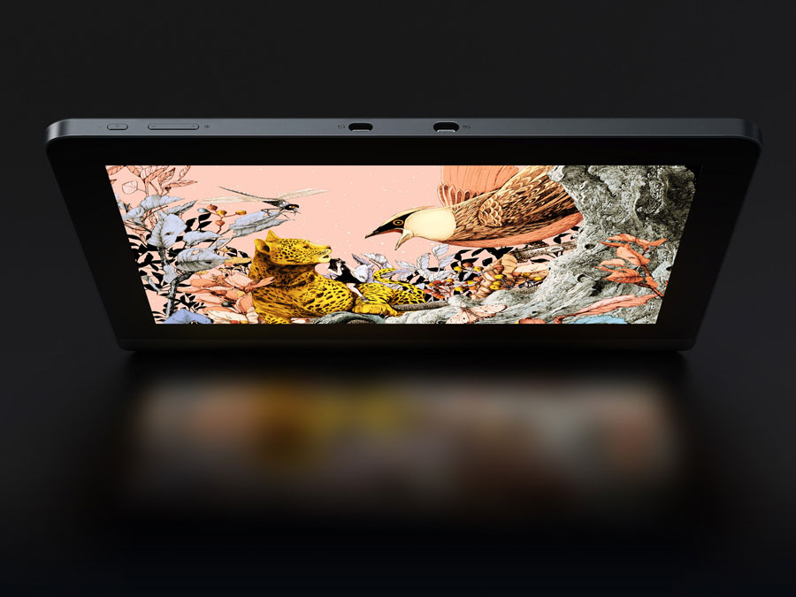 XP-Pen Artist Pro 16 Bildschirm